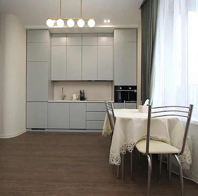 Кухня с встроенной бытовой техникой